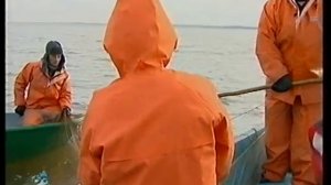 Челябинская область Рыбное хозяйство в регионе Октябрь 2012