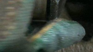 sh-vpts mazda cx5 мертвый движок