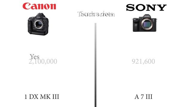 Canon 1DX MARK III VS Sony A7 III смотреть онлайн