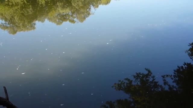 Чипсы "рыбацкие". Рыбалка,уклейка и секрет вкусной жареной рыбки. смотреть онлайн