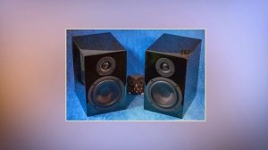Обзор Pro-Ject Speaker Box 5 - Лучшие пассивные Hi-Fi колонки до 320$