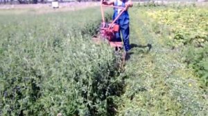 роторная косилка для мотоблока зубр 2 (Rotary mower for walking tractor)
