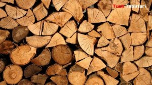 Туш табири - Тушда утин куриш