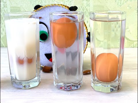 Что происходит с яйцами при разной плотности) смотреть онлайн