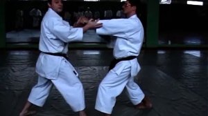 Блоки в традиционном карате-до. Отработка ротации и контрротации тела |  How to do karate blocks