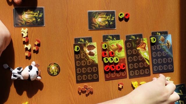 Лэтсплей настольной игры "Грибные места".