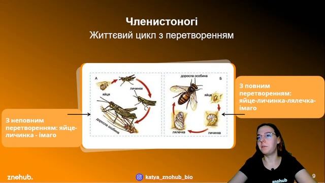 Найважливіше про тварин для НМТ з біології смотреть онлайн