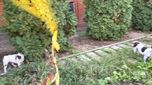 Вселенная любит тех, кто любит её смотреть онлайн