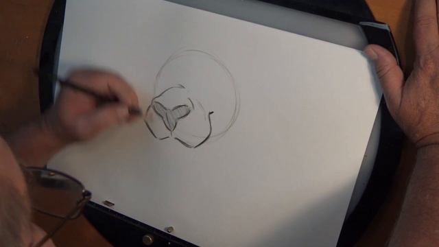 Animation - How to Draw Rajah from Aladdin смотреть онлайн