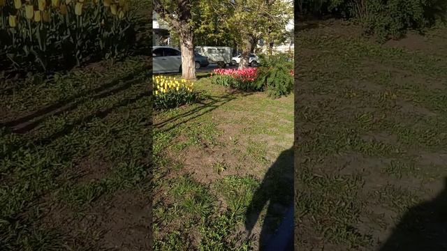 a3353ad7-ed12-4321-9502-fb3355166e12-1_all_1548.mp4