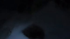 выполз на рыбалку,Койма, Риж губа