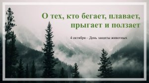 День защиты животных
