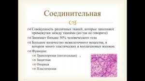 Ткани человека. Основные виды тканей.
