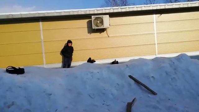 Прыжок в Нарнию смотреть онлайн