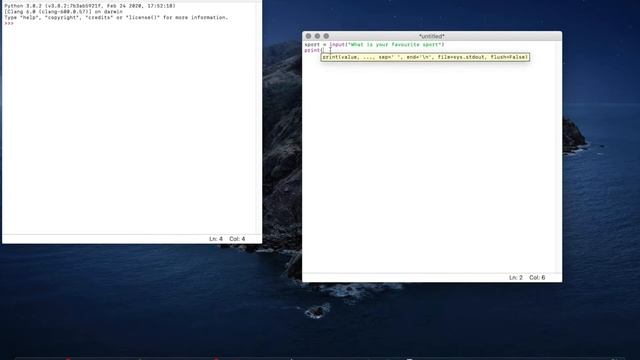 Python Basics: Using 'Input' in Python: Coding for Kids смотреть онлайн