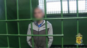 В Кирове полицейские задержали подозреваемого в покушении на грабеж