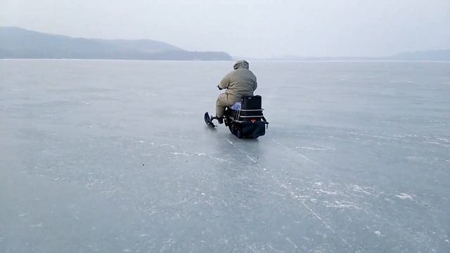 Dingo на льду смотреть онлайн