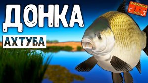 РР4/ рыбалка для души, ловим как универсал, общаемся 13.04.24