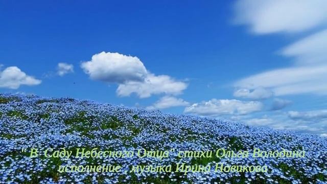 В саду Небесного Отца_поёт Ирина Новикова _на стихи Ольги Володиной