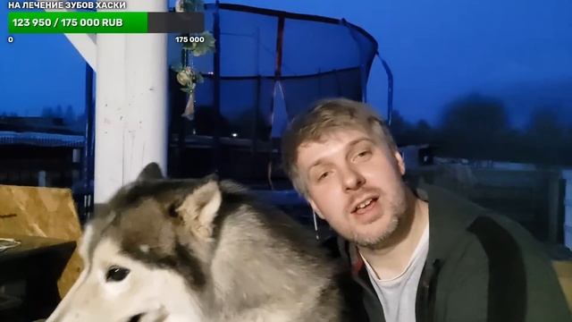 готовим курочку, слушаем птичек и гуляем с хаски смотреть онлайн