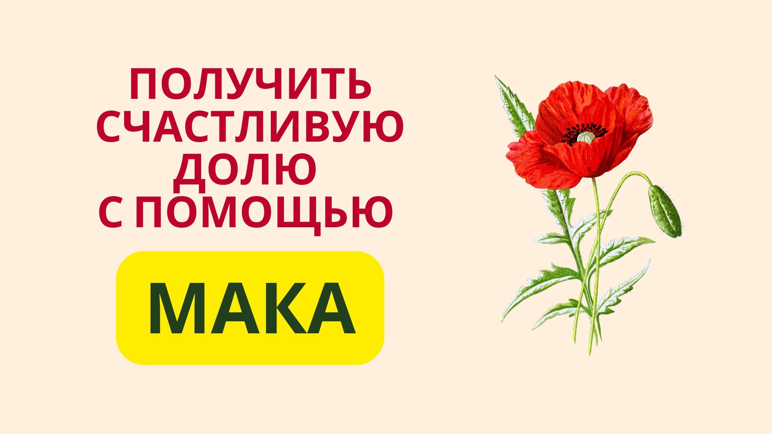 Опм мак