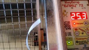 Обзор инкубатора Блиц 72 ц10