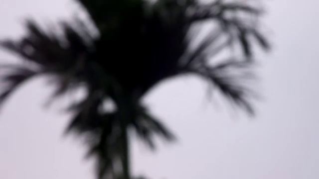 s2500hd video test смотреть онлайн