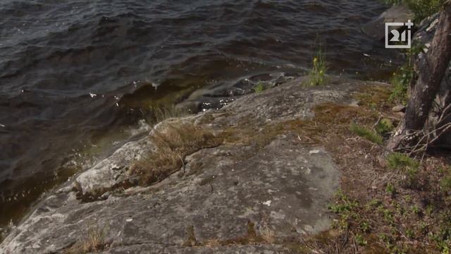 Заповедник: Петроглифы Канозера