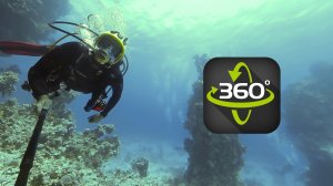 360 Elmalahi. Fury Shoals Red Sea