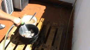 Шулюм из говяжьих хвостов.