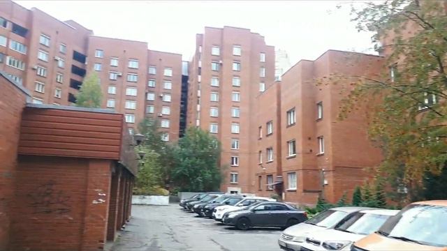 Питер  КОГО мы встретили!