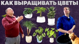 Ухаживаем за цветами правильно, обрезаем деревья, подготавливаем рассаду: лайфхаки дачников