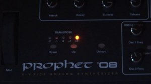 Moog + Prophet 08 + Reaktor Newscool