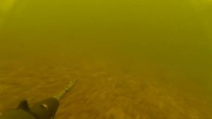 подводная охота Старый Оскол