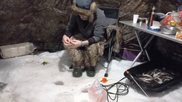 Зимняя рыбалка на Белом море навага и корюшка 17 февраля 2023