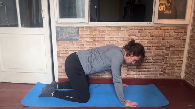 Кошка злится и виляет хвостом 🐈⬛ смотреть онлайн