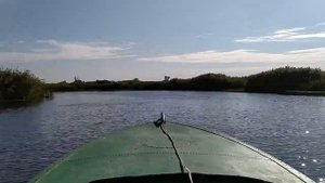 На моторной лодке по реке // СКОРОСТЬ на воде