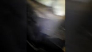 Печи для бани TERMOFOR