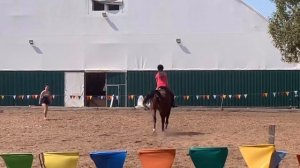 Конный VLOG?Первая тренировка на моей лошади?!Новая ЛОШАДЬ!!!?