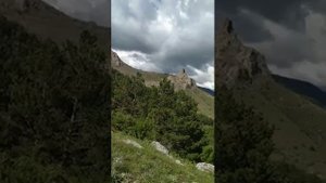 Крым поход за грибами в Зеленогорье