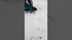 Мальчик провалился в болото