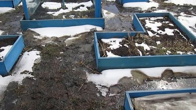 КАК СДЕЛАТЬ САМЫЕ УДОБНЫЕ И КРАСИВЫЕ ГРЯДКИ. смотреть онлайн