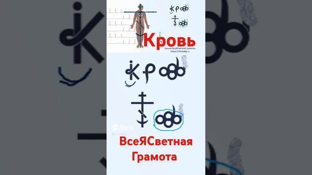 Кровь. ВсеЯСветная Грамота