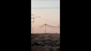 animals funny electric shocks / смешные удары током !