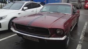 FORD MUSTANG. 60s.