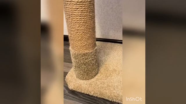 Когтеточка с гамаком смотреть онлайн