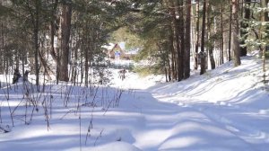 Тетя Мирдза и Дядя Жорик пробует скиджоринг ИЖ Планета Спорт 350