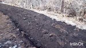 Мтз 82.3 как он пашет землю?