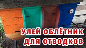 УЛЕЙ ОБЛЁТНИК ДЛЯ ОТВОДКОВ И МНОГОМАТОЧНОГО СОДЕРЖАНИЯ!