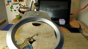 Увеличительное стекло для вышивки Как выбрать лупу для вышивки | Обзор | Вышивка крестиком